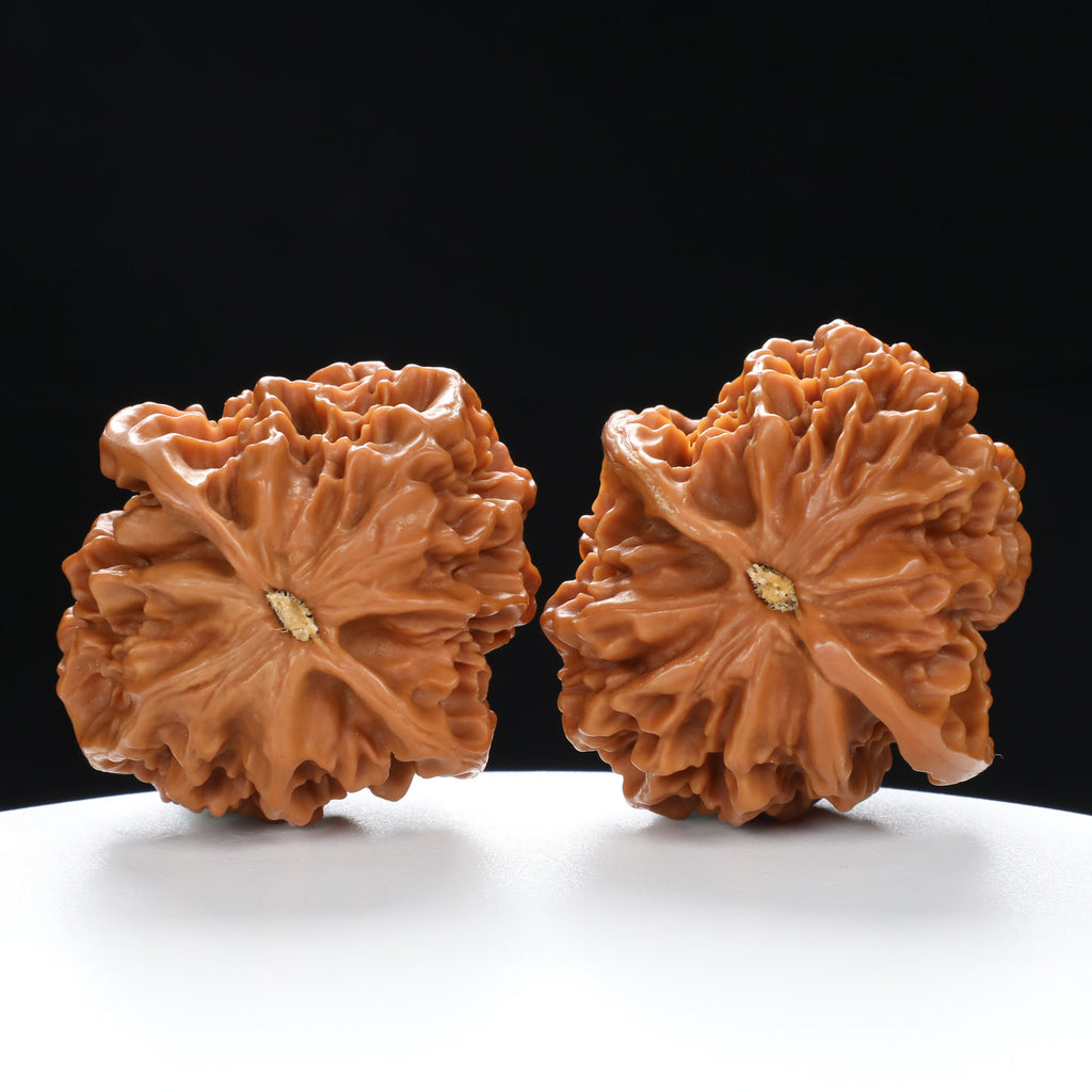 “Qilin Scale Pattern” Imperial Collection Qilin Guanmao Walnuts Pair | Size:48L*50W*47H | UPI:UR-00054