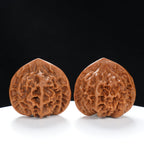 “Qilin Scale Pattern” Imperial Collection Qilin Guanmao Walnuts Pair | Size:45L*45W*43H | UPI:UR-00055