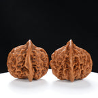 “Qilin Scale Pattern” Imperial Collection Qilin Guanmao Walnuts Pair | Size:45L*45W*43H | UPI:UR-00055