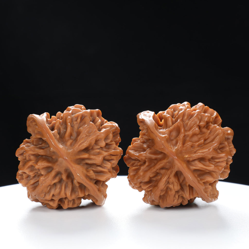 “Qilin Scale Pattern” Imperial Collection Qilin Guanmao Walnuts Pair | Size:45L*45W*43H | UPI:UR-00055