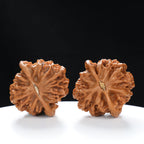 “Qilin Scale Pattern” Imperial Collection Qilin Guanmao Walnuts Pair | Size:45L*45W*43H | UPI:UR-00055