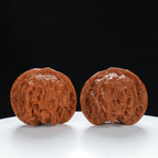 "Noble's Hat" Authentic entry level Wenwan Walnuts Pair | Size:43L*40W*37H | UPI:UR-00056