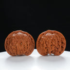 "Noble's Hat" Authentic entry level Wenwan Walnuts Pair | Size:43L*40W*37H | UPI:UR-00056