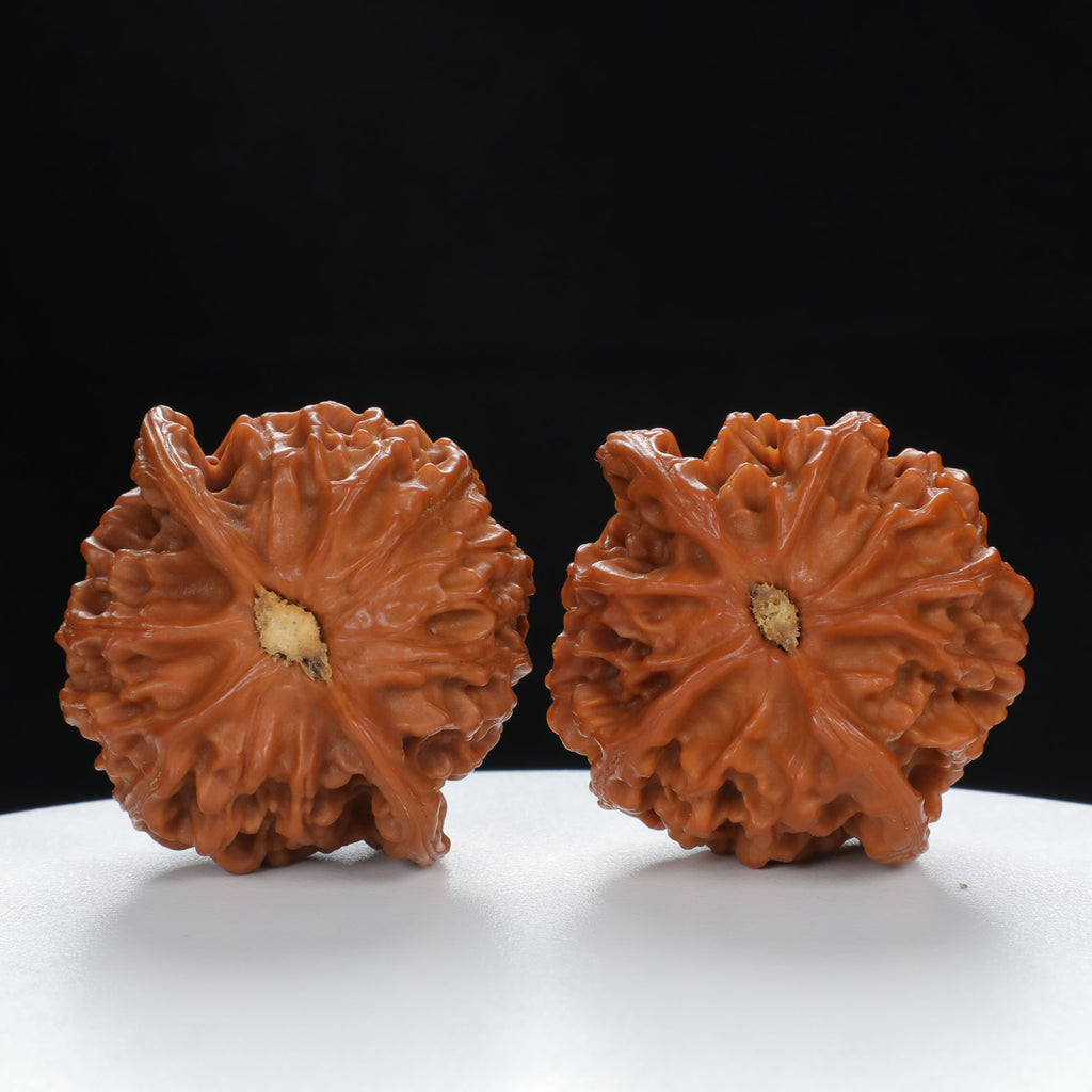 "Noble's Hat" Authentic entry level Wenwan Walnuts Pair | Size:43L*40W*37H | UPI:UR-00056