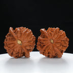 "Noble's Hat" Authentic entry level Wenwan Walnuts Pair | Size:43L*40W*37H | UPI:UR-00056