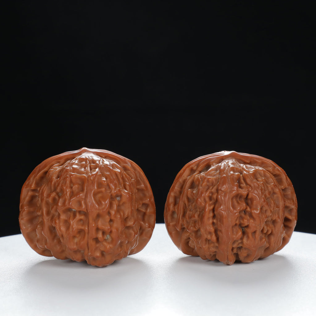 "Lion's Head" Original entry level Wenwan Walnuts Pair | Size:39L*39W*32H | UPI:UR-00057
