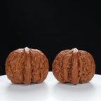 "Lion's Head" Original entry level Wenwan Walnuts Pair | Size:39L*39W*32H | UPI:UR-00057