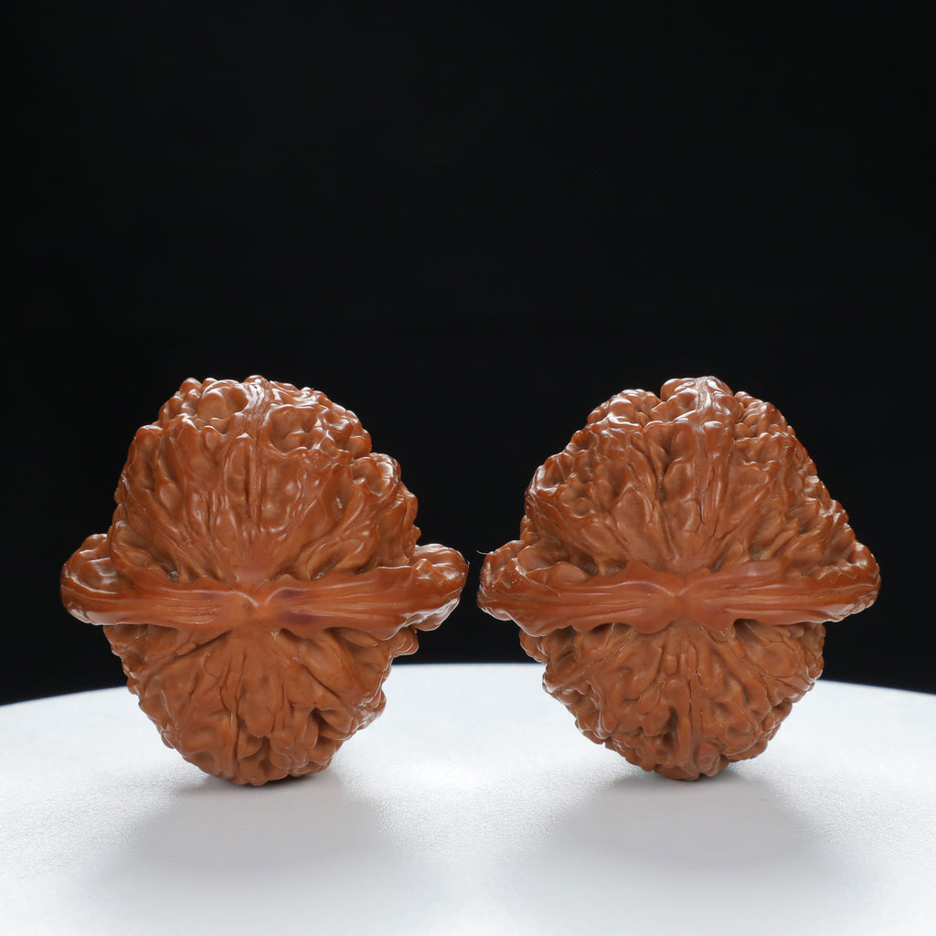 "Lion's Head" Original entry level Wenwan Walnuts Pair | Size:39L*39W*32H | UPI:UR-00057