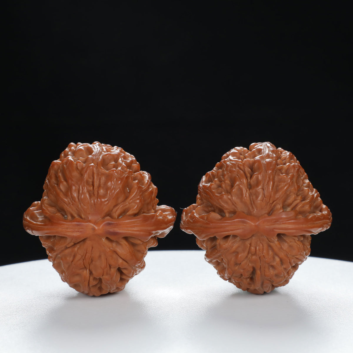 "Lion's Head" Original entry level Wenwan Walnuts Pair | Size:39L*39W*32H | UPI:UR-00057