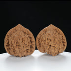 "Large Mandarin Hat" Elegant entry level Wenwan Walnuts Pair | Size:50L*46W*50H | UPI:UR-00058