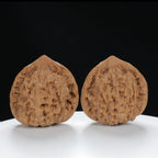 "Large Mandarin Hat" Elegant entry level Wenwan Walnuts Pair | Size:50L*46W*50H | UPI:UR-00058