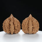 "Large Mandarin Hat" Elegant entry level Wenwan Walnuts Pair | Size:50L*46W*50H | UPI:UR-00058