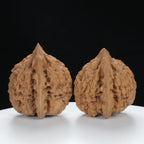 "Large Mandarin Hat" Elegant entry level Wenwan Walnuts Pair | Size:50L*46W*50H | UPI:UR-00058