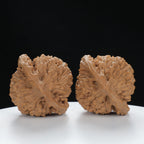"Large Mandarin Hat" Elegant entry level Wenwan Walnuts Pair | Size:50L*46W*50H | UPI:UR-00058