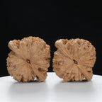 "Large Mandarin Hat" Elegant entry level Wenwan Walnuts Pair | Size:50L*46W*50H | UPI:UR-00058