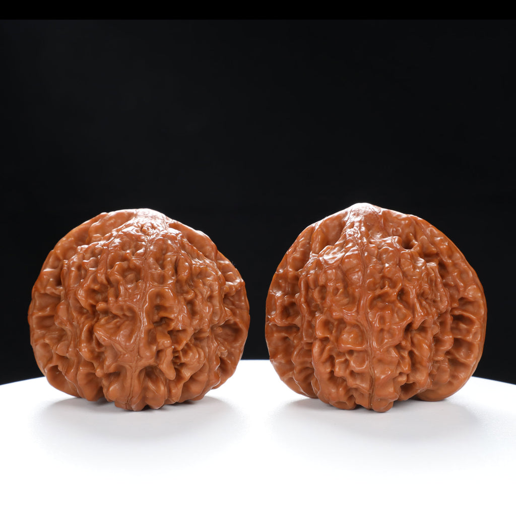 "Snake Head" Collector's Ultra Rare Full-Bellied Snake Head Hand-Matched Wenwan Walnuts Pair | Size:49L*40W*42H | UPI:UR-00060