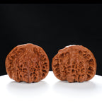 "Snake Head" Collector's Ultra Rare Full-Bellied Snake Head Hand-Matched Wenwan Walnuts Pair | Size:49L*40W*42H | UPI:UR-00060