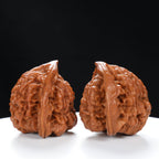 "Snake Head" Collector's Ultra Rare Full-Bellied Snake Head Hand-Matched Wenwan Walnuts Pair | Size:49L*40W*42H | UPI:UR-00060