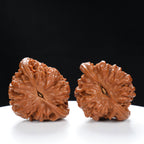 "Snake Head" Collector's Ultra Rare Full-Bellied Snake Head Hand-Matched Wenwan Walnuts Pair | Size:49L*40W*42H | UPI:UR-00060