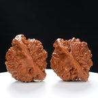 "Snake Head" Collector's Ultra Rare Full-Bellied Snake Head Hand-Matched Wenwan Walnuts Pair | Size:49L*40W*42H | UPI:UR-00060