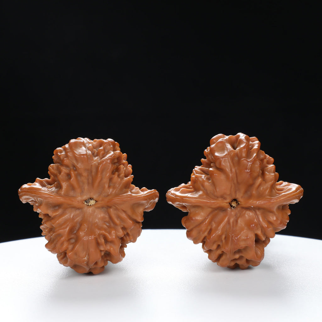 “Gourd” Natural Gourd-Shaped Wenwan Walnuts Pair | Size:39L*38W*50H | UPI:UR-00061