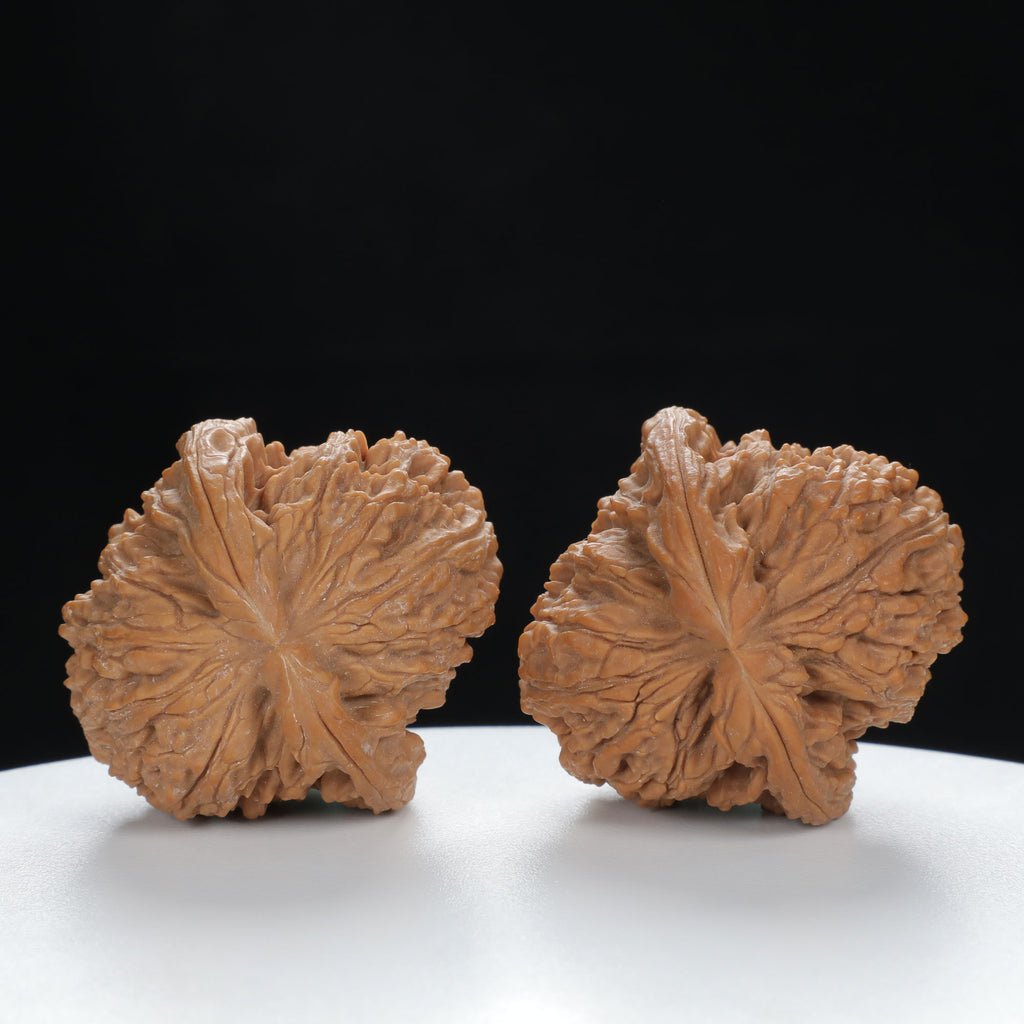 "Nanjiang Stone" Curated entry level Wenwan Walnuts Pair | Size:41L*43W*36H | UPI:UR-00062