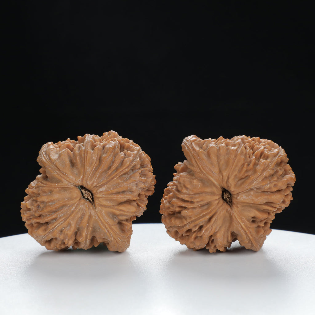 "Nanjiang Stone" Curated entry level Wenwan Walnuts Pair | Size:41L*43W*36H | UPI:UR-00062