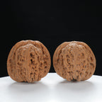 "Nanjiang Stone" Curated entry level Wenwan Walnuts Pair | Size:41L*43W*36H | UPI:UR-00062
