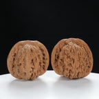 "Nanjiang Stone" Curated entry level Wenwan Walnuts Pair | Size:41L*43W*36H | UPI:UR-00062