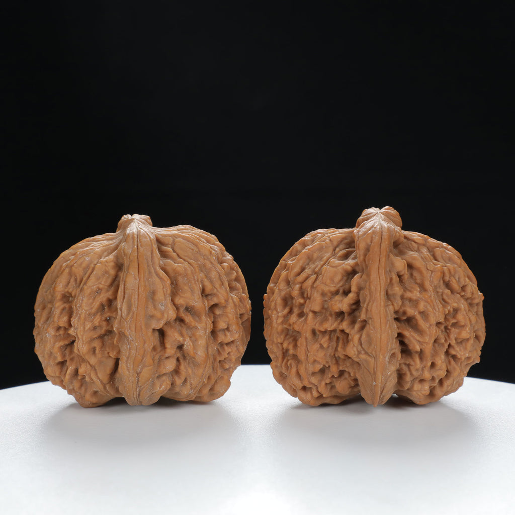 "Nanjiang Stone" Curated entry level Wenwan Walnuts Pair | Size:41L*43W*36H | UPI:UR-00062