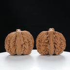 "Nanjiang Stone" Curated entry level Wenwan Walnuts Pair | Size:41L*43W*36H | UPI:UR-00062
