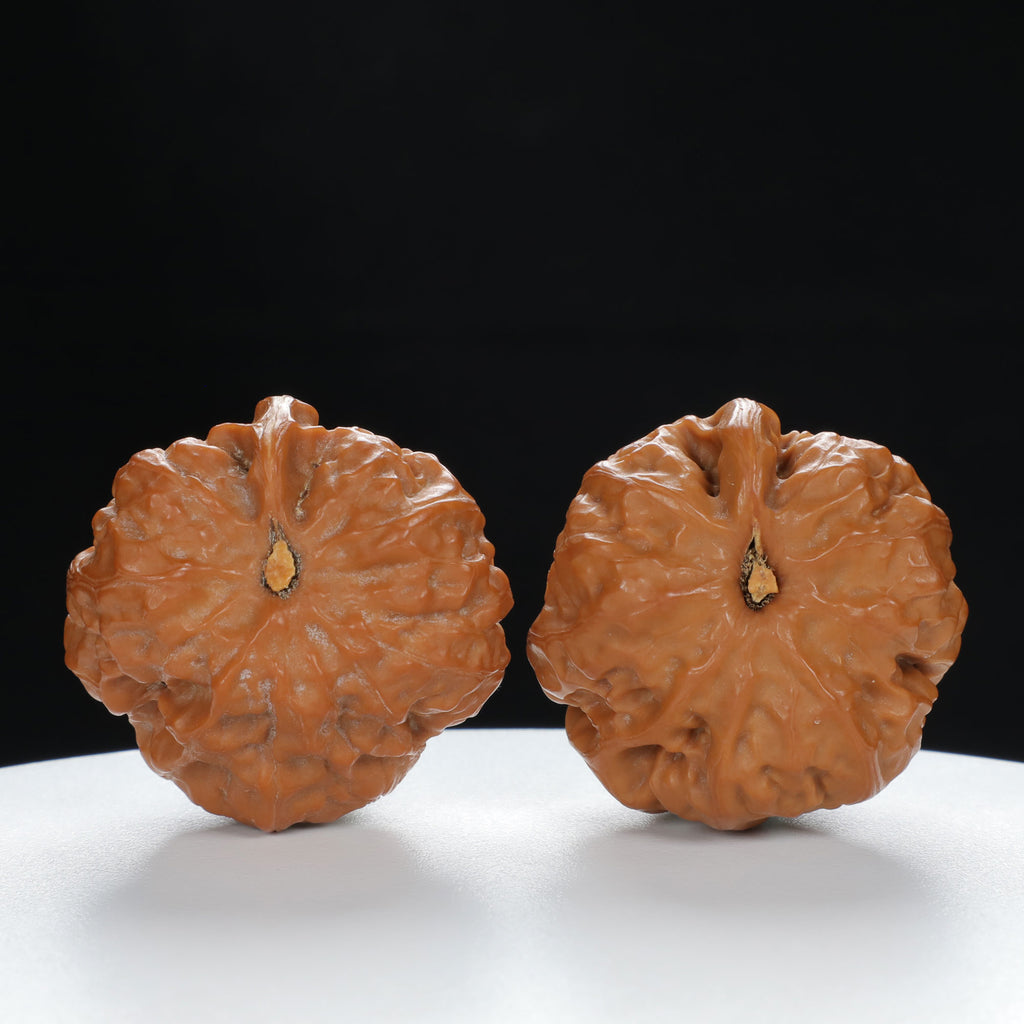 "Single Ridge" Artisan entry level Wenwan Walnuts Pair | Size:37L*36W*30H | UPI:UR-00063
