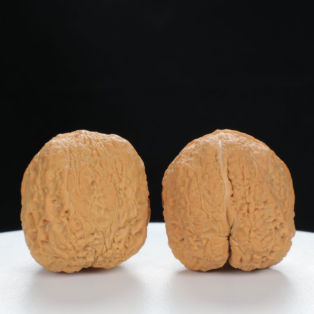 "Toad Head" Premium entry level Wenwan Walnuts Pair | Size:39L*39W*33H | UPI:UR-00064