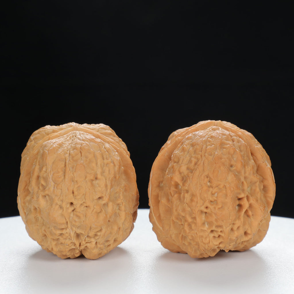 "Toad Head" Premium entry level Wenwan Walnuts Pair | Size:39L*39W*33H | UPI:UR-00064