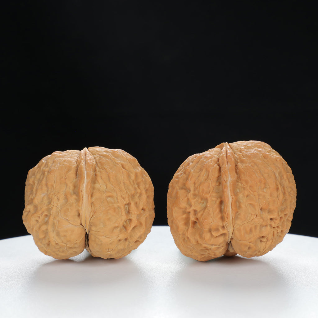 "Toad Head" Premium entry level Wenwan Walnuts Pair | Size:39L*39W*33H | UPI:UR-00064