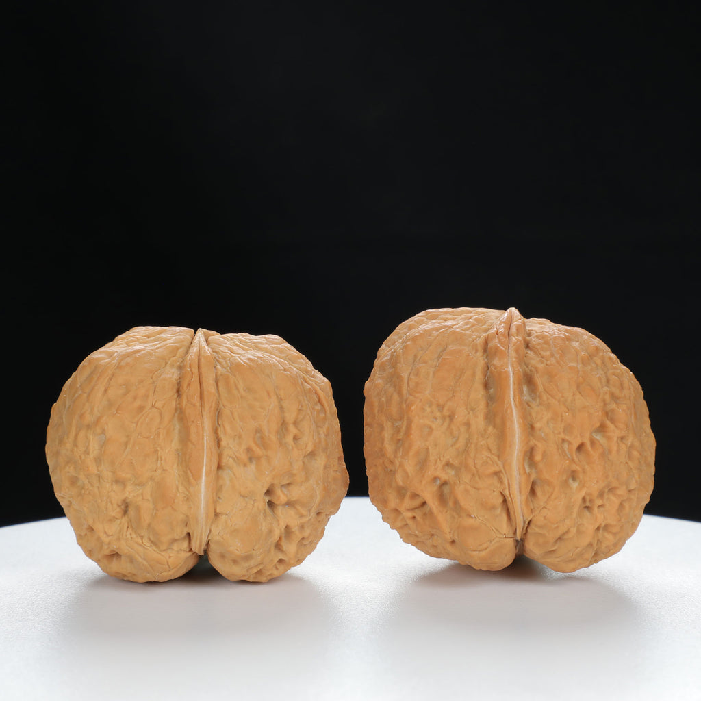 "Toad Head" Premium entry level Wenwan Walnuts Pair | Size:39L*39W*33H | UPI:UR-00064
