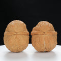 "Toad Head" Premium entry level Wenwan Walnuts Pair | Size:39L*39W*33H | UPI:UR-00064