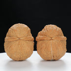 "Toad Head" Premium entry level Wenwan Walnuts Pair | Size:39L*39W*33H | UPI:UR-00064