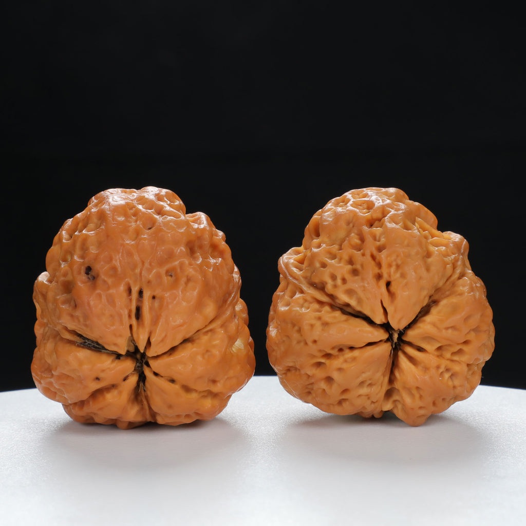 "Three-Ridged" Vintage-style entry level Wenwan Walnuts Pair | Size:34L*35W*38H | UPI:UR-00065