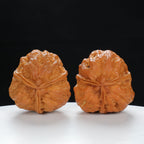 "Three-Ridged" Vintage-style entry level Wenwan Walnuts Pair | Size:34L*35W*38H | UPI:UR-00065