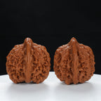 "Starry Sky" Collector's entry level Wenwan Walnuts Pair | Size:37L*36W*38H | UPI:UR-00066