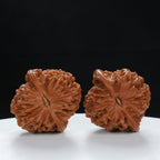 "Starry Sky" Collector's entry level Wenwan Walnuts Pair | Size:37L*36W*38H | UPI:UR-00066