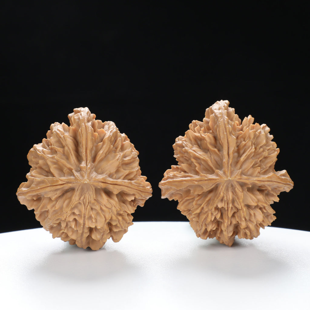 “Three-Ridged” Hand-Selected T-Shaped Triple-Ridge Wenwan Walnuts Pair | Size:37L*39W*42H | UPI:UR-00089