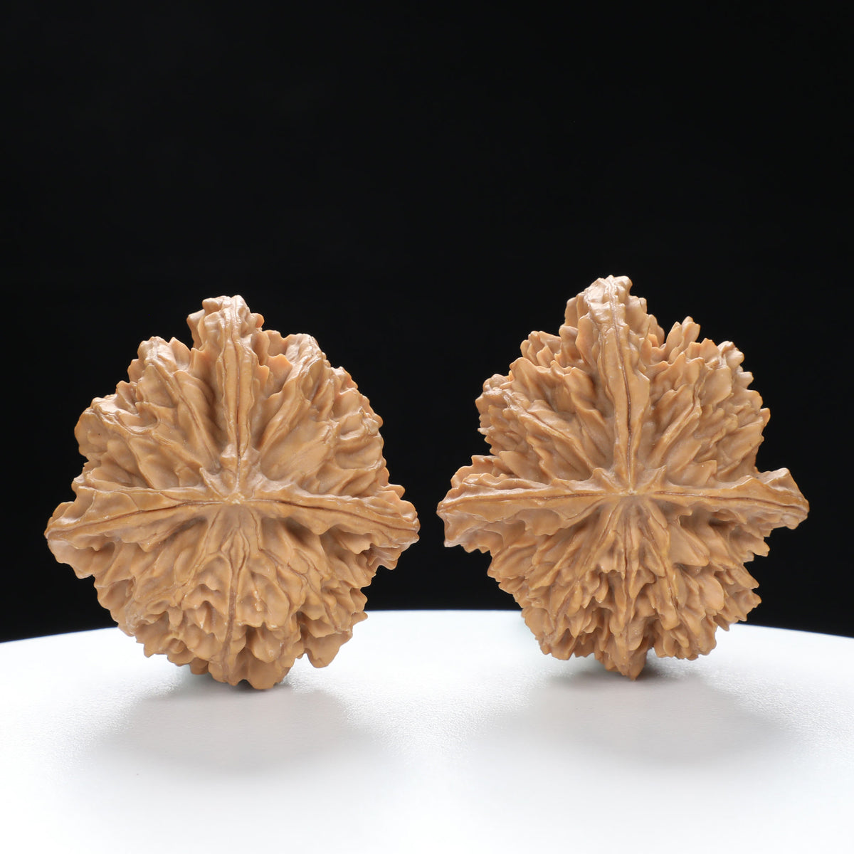 “Three-Ridged” Hand-Selected T-Shaped Triple-Ridge Wenwan Walnuts Pair | Size:37L*39W*42H | UPI:UR-00089