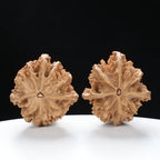 “Three-Ridged” Hand-Selected T-Shaped Triple-Ridge Wenwan Walnuts Pair | Size:37L*39W*42H | UPI:UR-00089