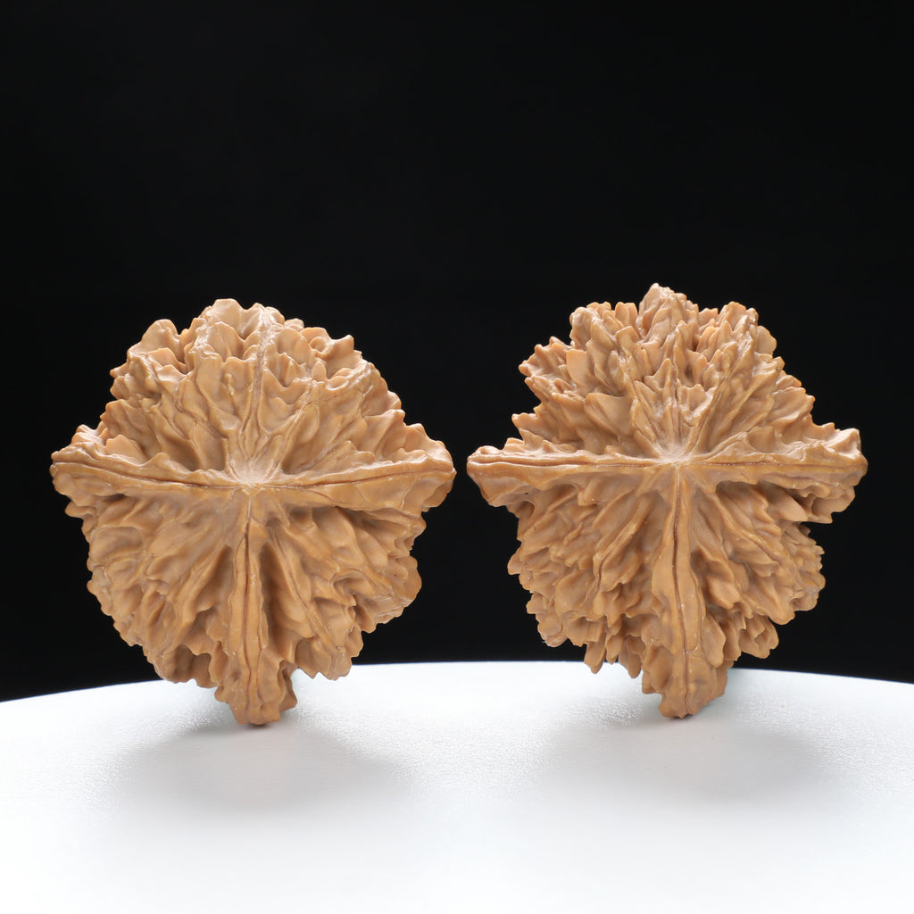 “Three-Ridged” Hand-Selected T-Shaped Triple-Ridge Wenwan Walnuts Pair | Size:37L*39W*42H | UPI:UR-00089