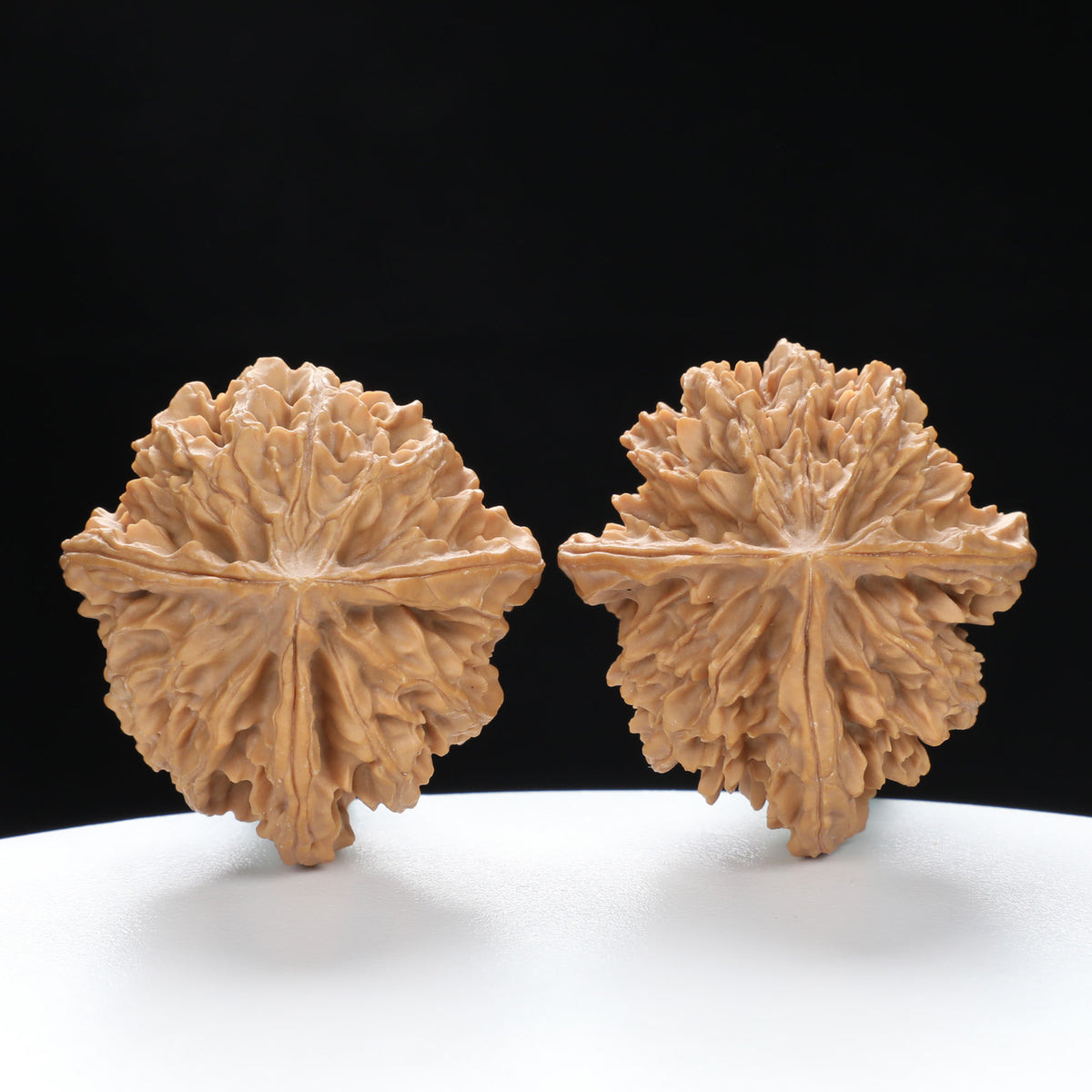 “Three-Ridged” Hand-Selected T-Shaped Triple-Ridge Wenwan Walnuts Pair | Size:37L*39W*42H | UPI:UR-00089