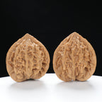“Three-Ridged” Hand-Selected T-Shaped Triple-Ridge Wenwan Walnuts Pair | Size:37L*39W*42H | UPI:UR-00089