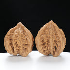 “Three-Ridged” Hand-Selected T-Shaped Triple-Ridge Wenwan Walnuts Pair | Size:37L*39W*42H | UPI:UR-00089