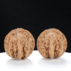 “Wild Qinling Thick-Ridge” Wild Qinling Mountain Thick-Ridge Native Wenwan Walnuts Pair | Size:37L*40W*36H | UPI:UR-00094